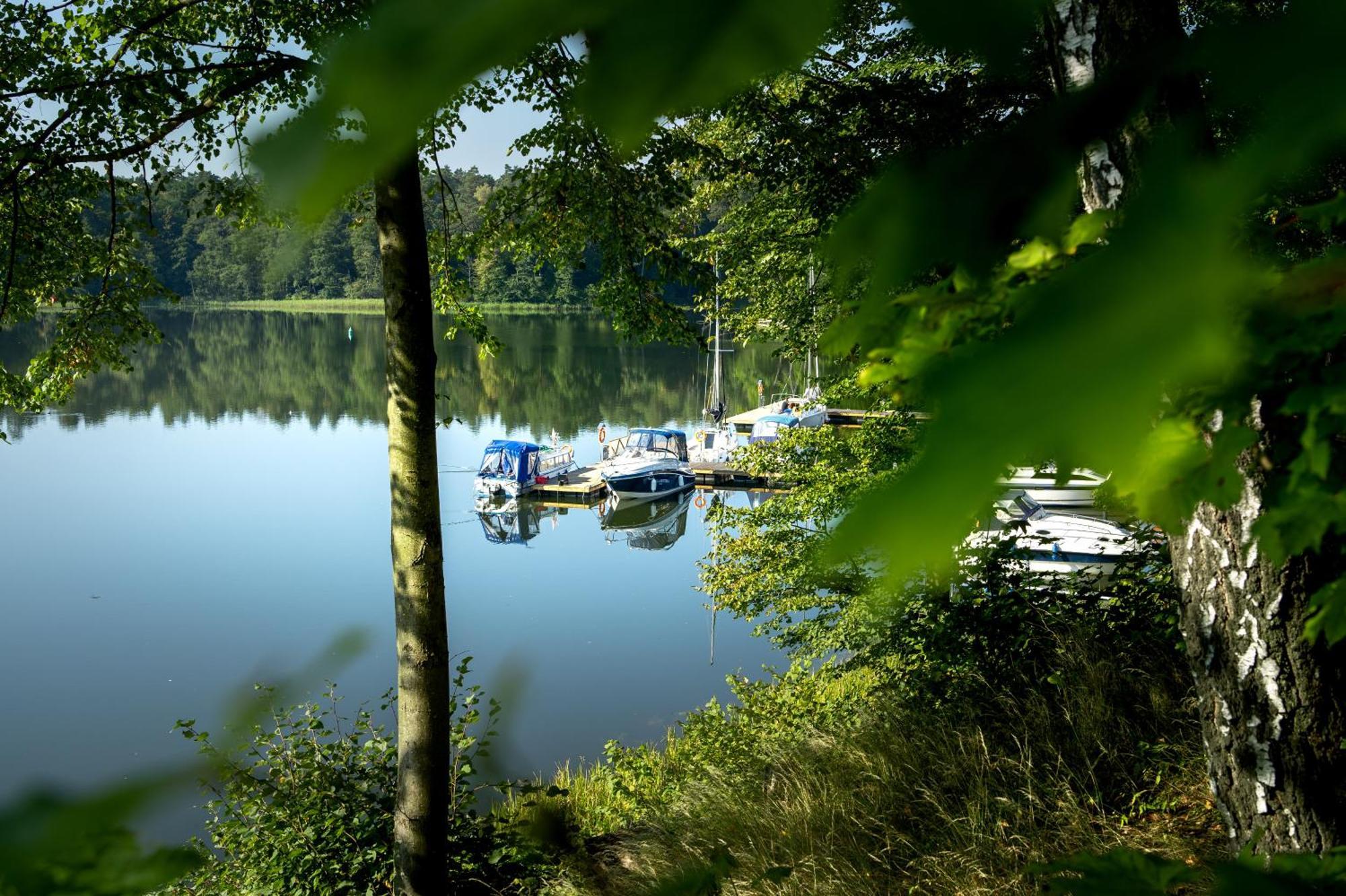 Ruciane Park - Mazury Resort & Spa 객실 사진